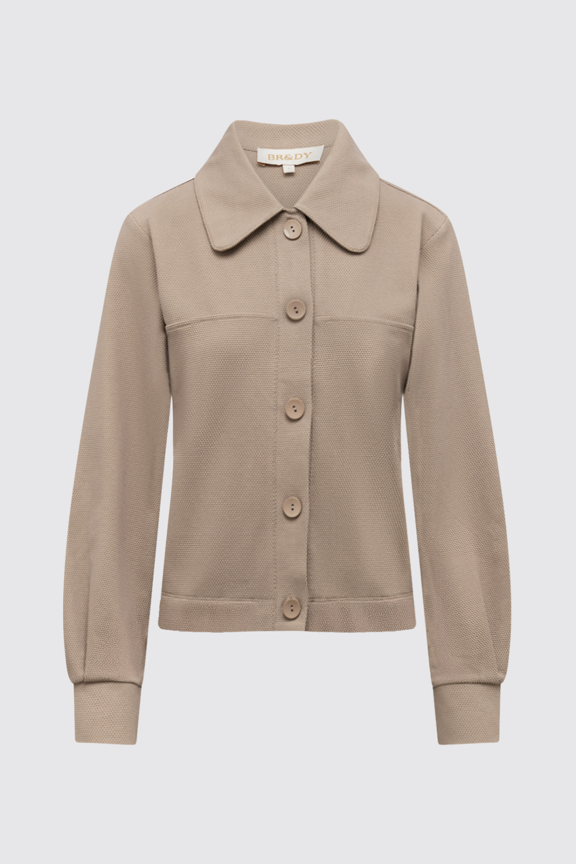 Amy Jacke | Braun